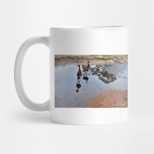 ducks in the park photograph Mug